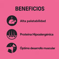 Alimento Húmedo Agility Gold de Cordero para Cachorros en Crecimiento

