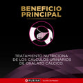 Alimento Húmedo Proplan Veterinary Diet UR Canine para Perro