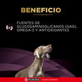 Alimento Húmedo Proplan Veterinary Diet UR Canine para Perro