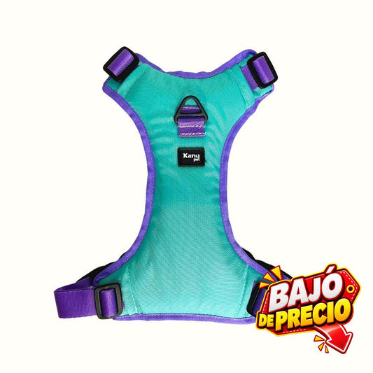 Pechera Verde Menta / Lila Kanu Pet para Perro