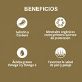 Alimento Seco Agility Gold para Perros Adultos Grandes con Piel Sensible