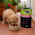 Alimento Húmedo Agility Gold de Cordero para Cachorros en Crecimiento
