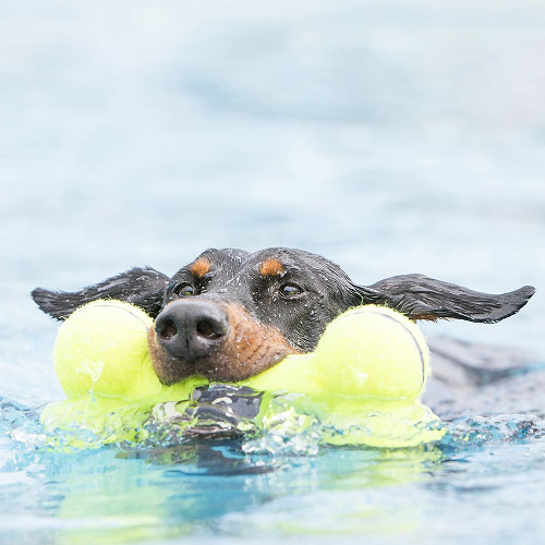 Juguete perro airkong hueso para perro