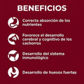 Alimento Seco Agility Gold para Cachorros de Razas Grandes
