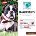 Ciclosporina Para Perro