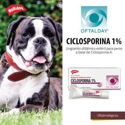 Ciclosporina Para Perro