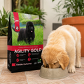 Alimento Seco Agility Gold para Cachorros de Razas Grandes
