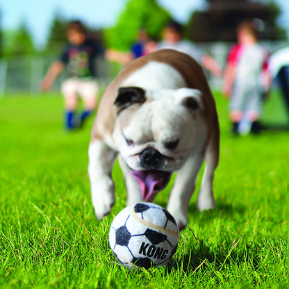 Pelota perro sports balls kong large x 2 para perro