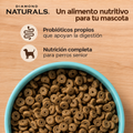 Alimento Seco Diamond Pollo, Huevo y Avena para perro  Senior