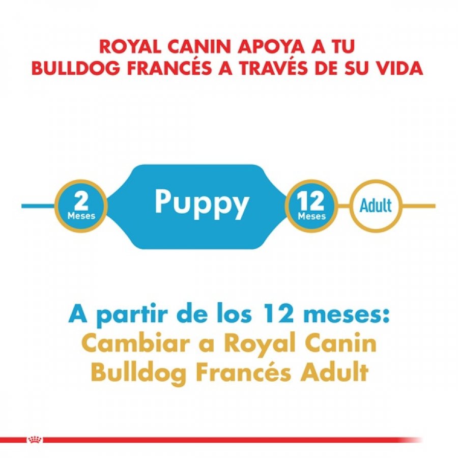 Alimento Para Perro Royal Canin Bulldog Frances Puppy Precio Especial