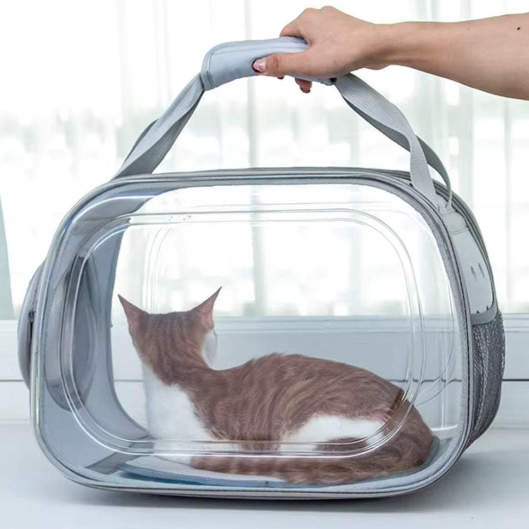 Bolso Transparente Paw Kanu Pet para Perro y Gato