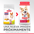 Alimento Seco para perro Hills Adulto Small Bites