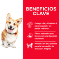 Alimento Seco para perro Hills Adulto Small Bites
