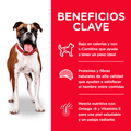 Alimento para perro Hills Canino Adulto Light