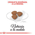 Alimento Para Perro Royal Canin Mini Puppy Precio Especial