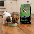 Alimento Seco Agility Gold para Cachorros de Razas Pequeñas