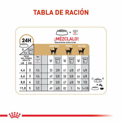 Alimento para perro Royal Canin Chihuahua Adulto