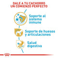 Alimento Para Perro Royal Canin Dachshund Puppy