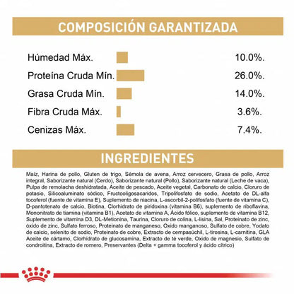 Alimento para perro Royal Canin Chihuahua Adulto