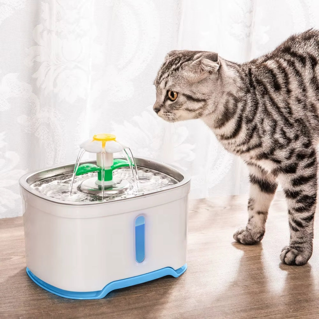 Fuente Flor Kanu Pet para Gato