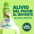 Champú Medicado TropiClean con avena y árbol para Perros y Gatos