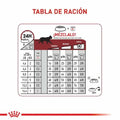 Alimento para gato Royal Canin Adulto Fit Pecio Especial
