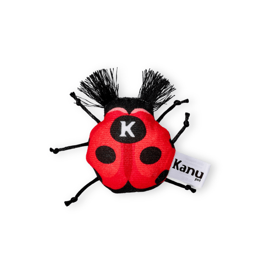 Juguete de Peluche Mariquita para gato Kanu Pet