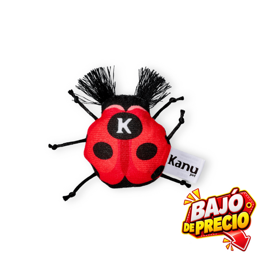 Juguete de Peluche Mariquita para gato Kanu Pet