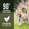 Alimento Seco Orijen Kitten para Gatos Cachorros