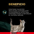 Alimento Seco Proplan Veterinary Diet Feline EN para Gato