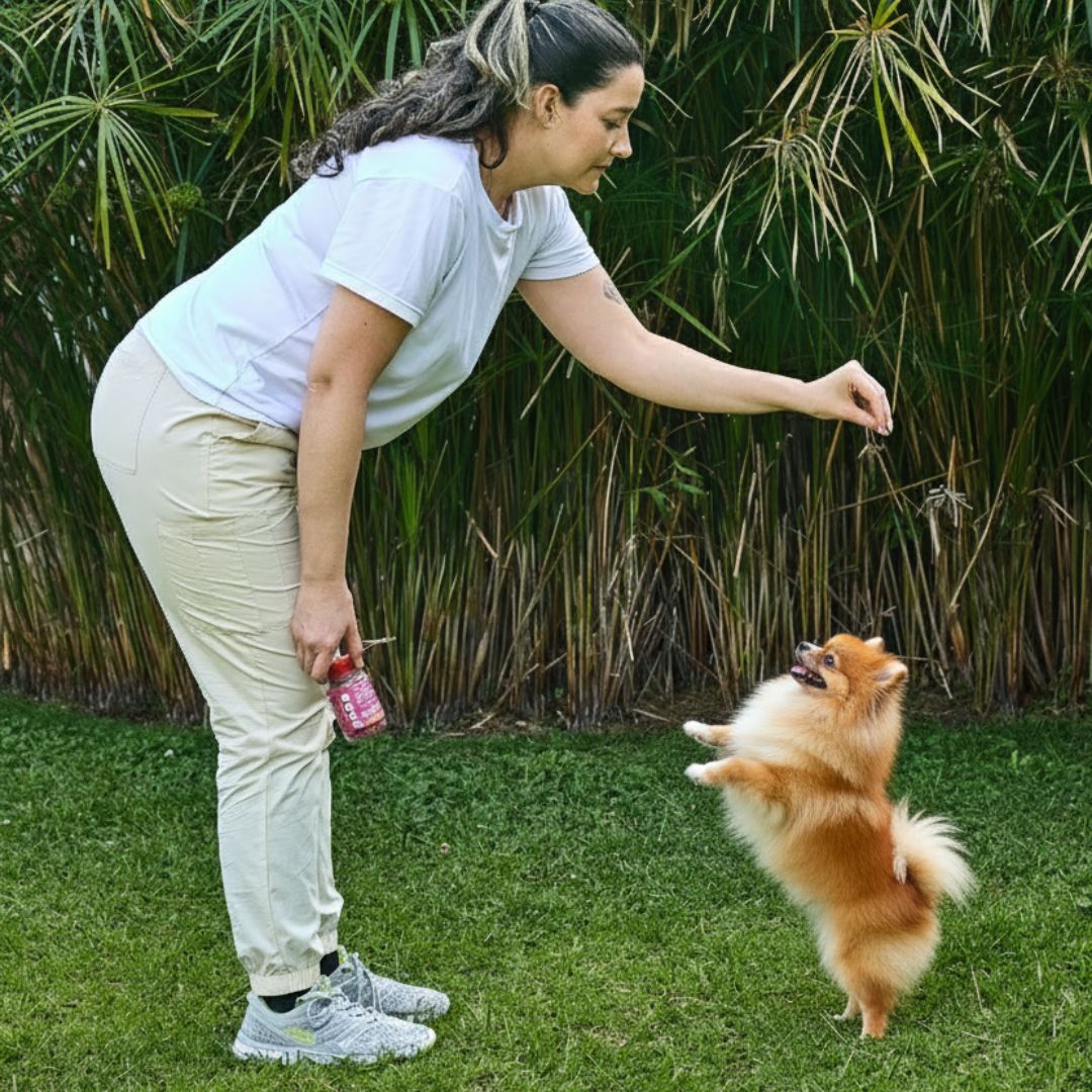 Combo Gourmet Kanu Pet para Perros Exigentes-Kanu pet