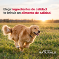 Alimento para perro Diamond Cordero y Arroz para Perro Adulto Raza Pequeña