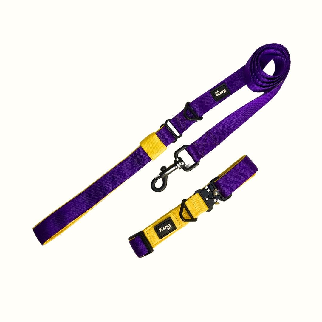 Combo Collar/Correa Amarillo-Morado Kanu Pet para Perro-Kanu Pet