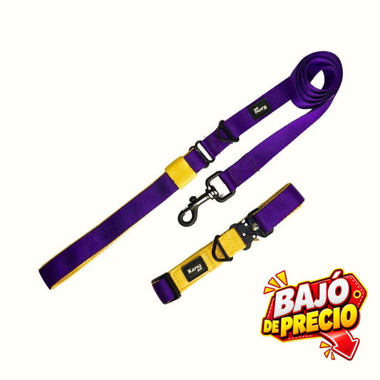Combo Collar/Correa Amarillo-Morado Kanu Pet para Perro