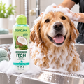 Champú Medicado TropiClean con avena y árbol para Perros y Gatos