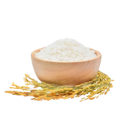 Arroz