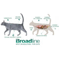 Broadline 0.6 a 2.5 KG Para Gato