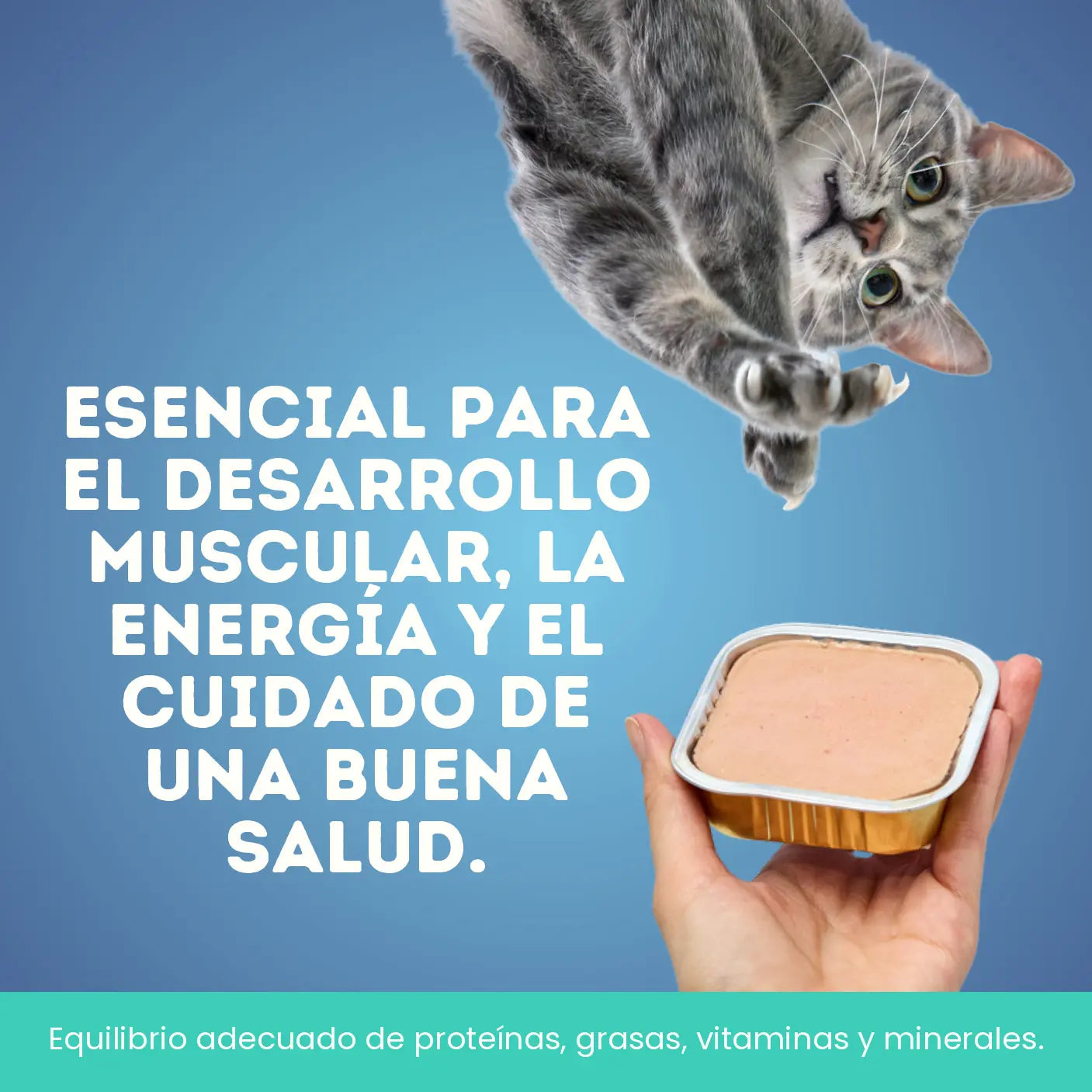 Banner_de_producto_Mobile__2__page-0001-Kanu Pet