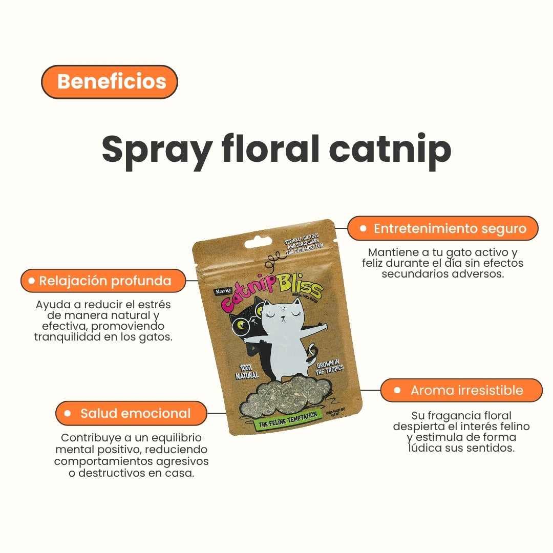 Hierba Gatuna Kanu Pet Catnip Bliss para Gato