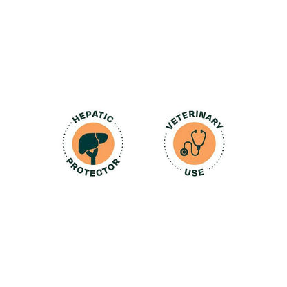 Alimento Seco Bonnat Veterinary Diet Canine Hepatic Support
