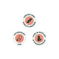 Alimento Seco Bonnat Veterinary Diet Canine Renal Support