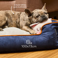 Cama Rectangular Ovejero Azul / Caramelo Kanu Pet para Perro