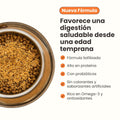 Alimento Para Perro K-Booster Salmón Kanu Pet Bolsa x 200 Gr