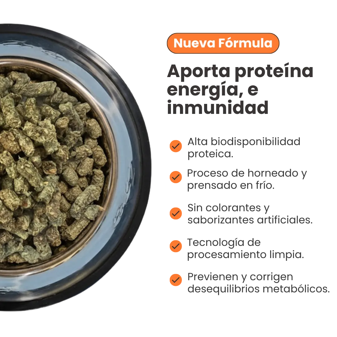 Alimento Seco Nativo Oven-Baked Carne / Cerdo / Salmón Kanu Pet para Perros Cachorros y Adultos