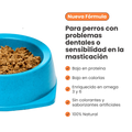 Alimento Húmedo Completo Chef's Recipe Kanu Pet para Perro Senior