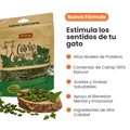 Snacks Galletas Catnip Kanu Pet para Gato