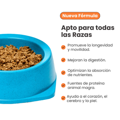 Alimento Húmedo Nativo Chef’s Recipe Senior Kanu Pet para Gatos