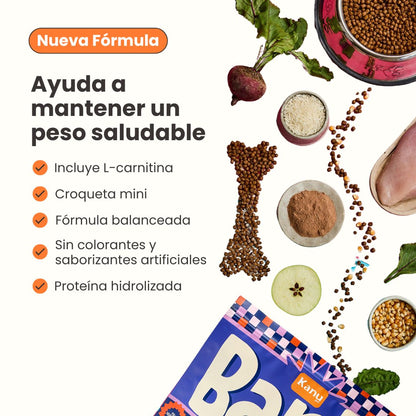 Alimento seco Kanu Pet Bark Small Bites para adulto razas pequeñas con Pollo