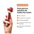 Snack Hueso Grande de Batata Kanu Big Bone para Perro