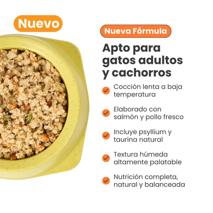 Alimento Congelado Nativo Fresh Salmón Kanu Pet para Gato Adulto y Cachorro